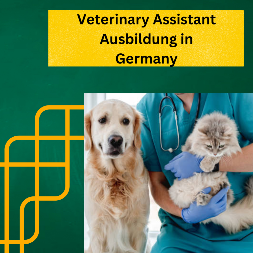 veterinary-assistant-ausbildung-in-germany-all-you-need-to-know